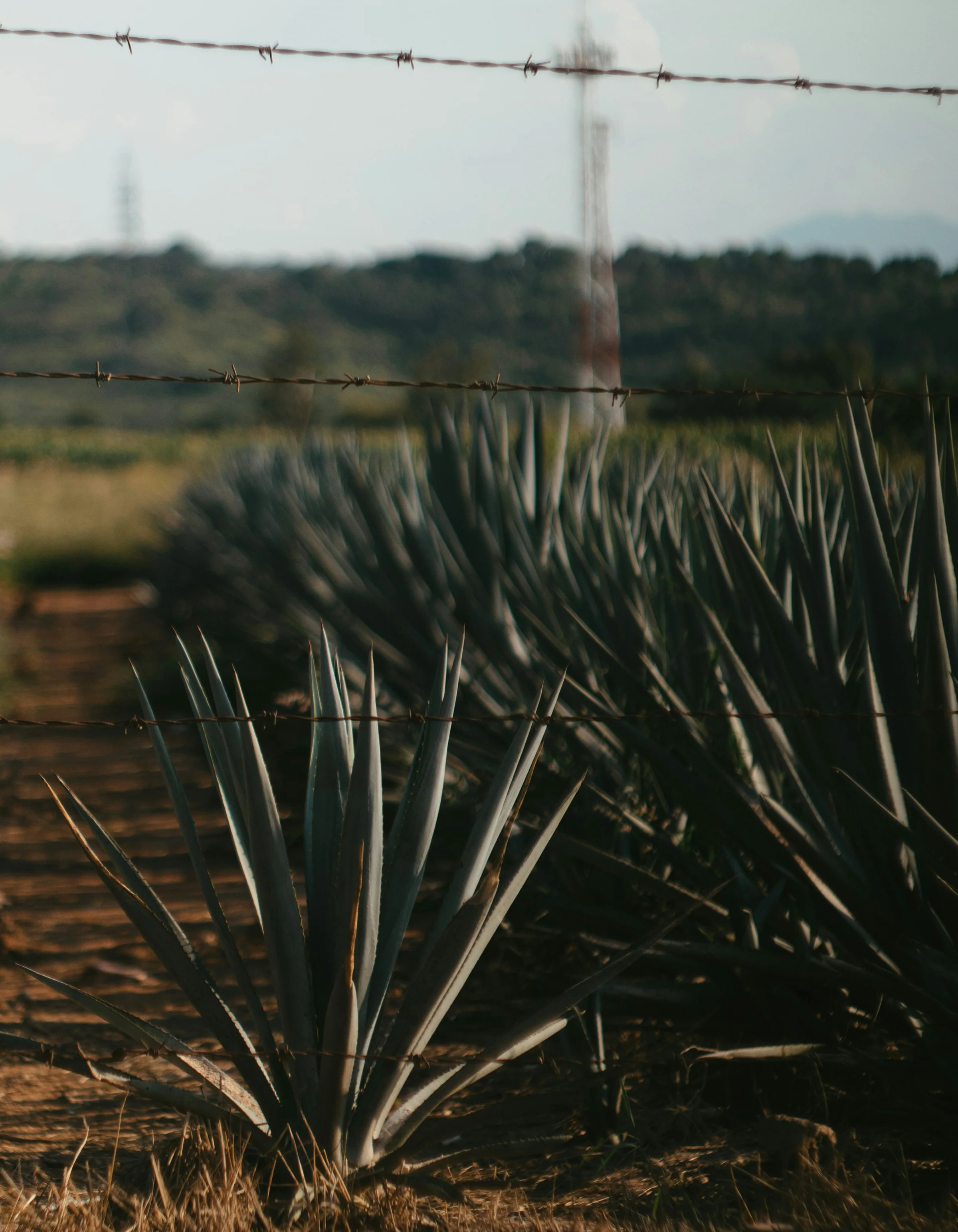 Welcome to Our Store